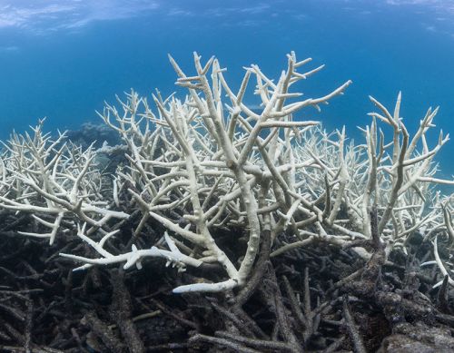 Staying ahead of the curve in a changing climate 