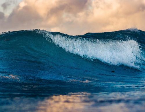 Climate proofing natural values using smart adaptive pathways