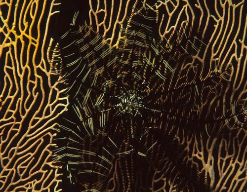 Navigating complexity, risk and uncertainty to inform decisions